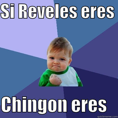 SI REVELES ERES   CHINGON ERES   Success Kid