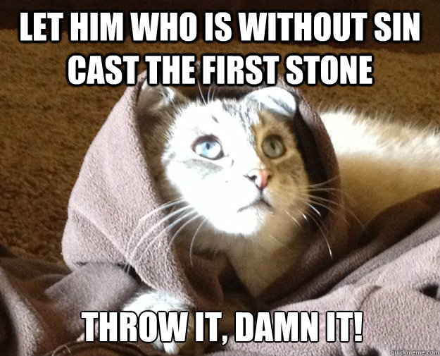 Let him who is without sin cast the first stone THROW IT, DAMN IT!  