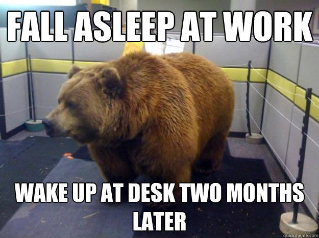 fall asleep at work wake up at desk two months later - fall asleep at work wake up at desk two months later  Office Grizzly