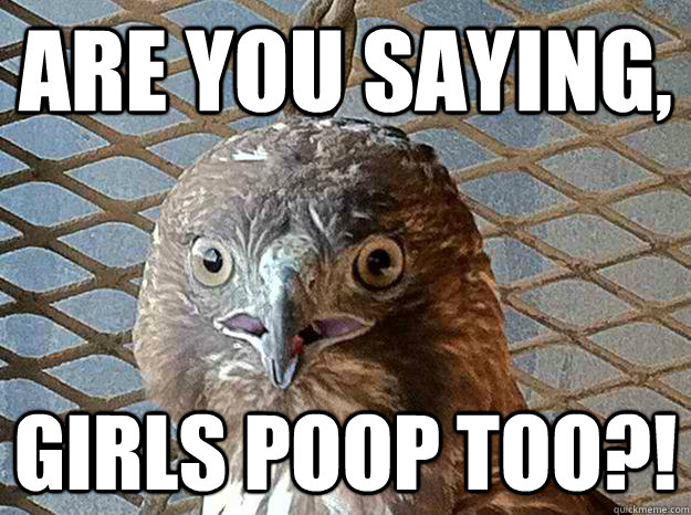 are you saying, girls poop too?!  