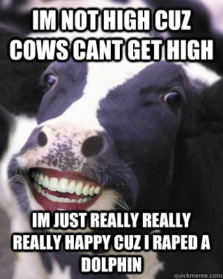 Im not high cuz cows cant get high im just really really really happy cuz i raped a dolphin  REALLY REALLY REALLY HAPPY COW