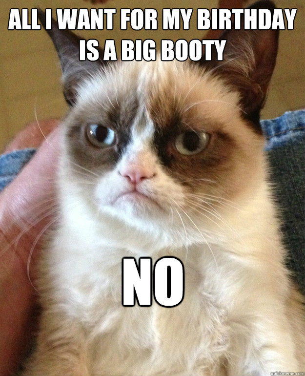 ALL I want for my birthday is a big booty NO - ALL I want for my birthday is a big booty NO  grumpycat