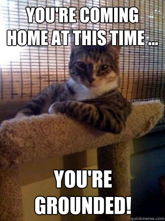 You're coming home at this time ... You're grounded!  The Most Interesting Cat in the World