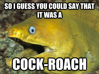 so i guess you could say that it was a  Cock-Roach  