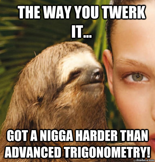 The way you twerk it...   got a nigga harder than advanced trigonometry!   rape sloth