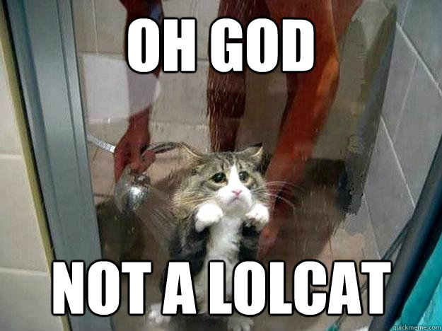 oh god not a lolcat  Shower kitty