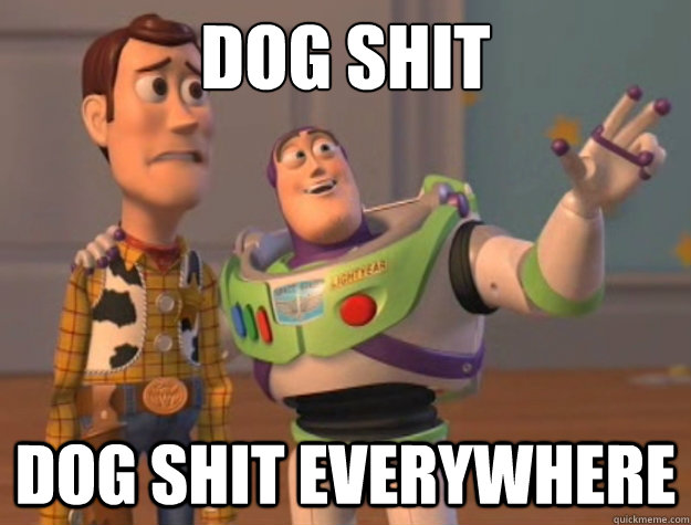 dog shit dog shit everywhere - dog shit dog shit everywhere  Buzz Lightyear