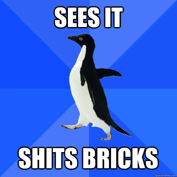 Sees it Shits bricks  Socially Awkward Penguin
