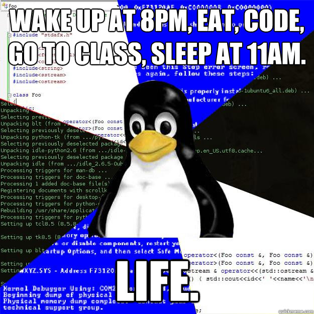 Wake up at 8PM, eat, code, go to class, sleep at 11AM. Life.  Computer Science Penguin