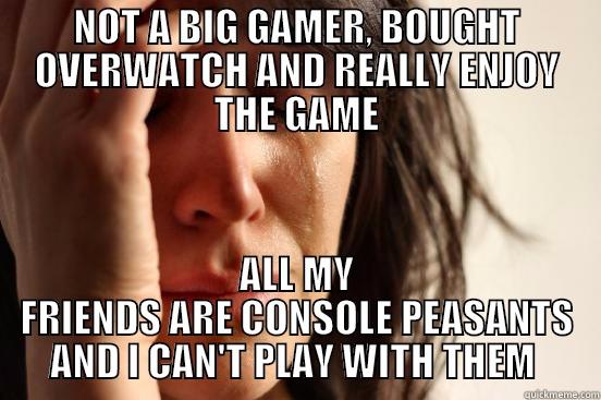 NOT A BIG GAMER, BOUGHT OVERWATCH AND REALLY ENJOY THE GAME ALL MY FRIENDS ARE CONSOLE PEASANTS AND I CAN'T PLAY WITH THEM  First World Problems