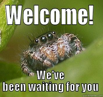 Welcome! We've been waiting for you - WELCOME! WE'VE BEEN WAITING FOR YOU Misunderstood Spider