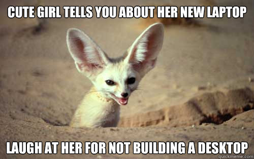 Cute girl tells you about her new laptop Laugh at her for not building a desktop  Technological Superiority Fennec