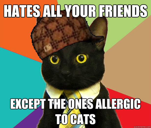 hates all your friends except the ones allergic to cats  Scumbag Cat