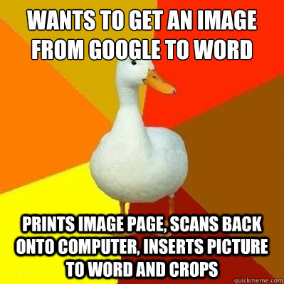 wants to get an image from google to word prints image page, scans back onto computer, inserts picture to word and crops  
