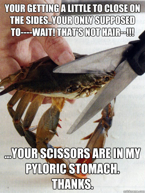 Your getting a little to close on the sides..your only supposed to----wait! That's not hair--!!! ...Your scissors are in my pyloric stomach. Thanks.  Optimistic Crab