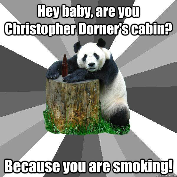 Hey baby, are you Christopher Dorner's cabin? Because you are smoking!  Pickup-Line Panda