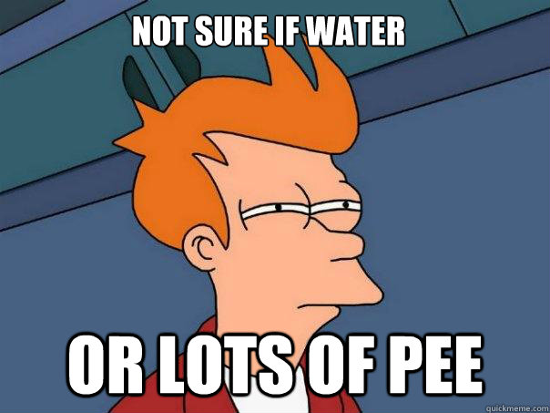 Not Sure If Water Or Lots Of Pee  Futurama Fry