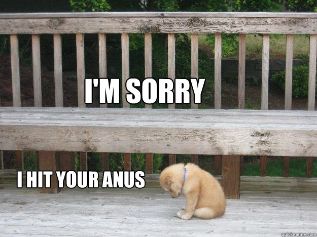 I'm sorry I Hit your anus  Sorry