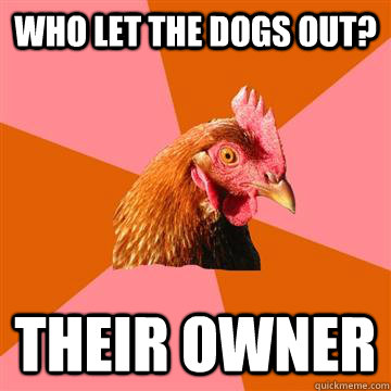 who let the dogs out? their owner - who let the dogs out? their owner  Anti-Joke Chicken