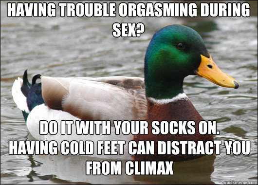 having trouble orgasming during sex? Do it with your socks on.
Having cold feet can distract you from climax - having trouble orgasming during sex? Do it with your socks on.
Having cold feet can distract you from climax  Actual Advice Mallard
