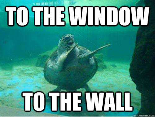 To the window to the wall - To the window to the wall  Dancing Turtle