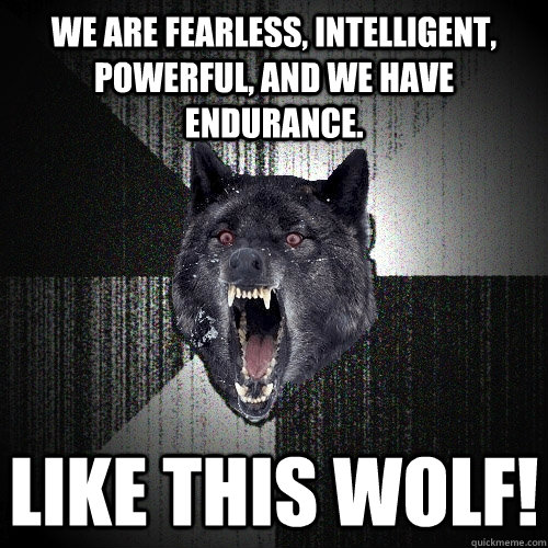 We are Fearless, intelligent, powerful, and we have endurance. like this wolf!  Insanity Wolf