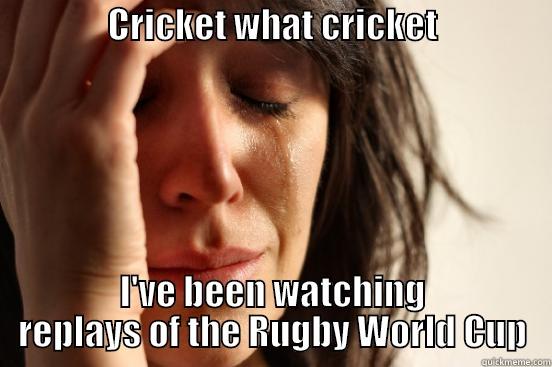                CRICKET WHAT CRICKET                   I'VE BEEN WATCHING REPLAYS OF THE RUGBY WORLD CUP First World Problems