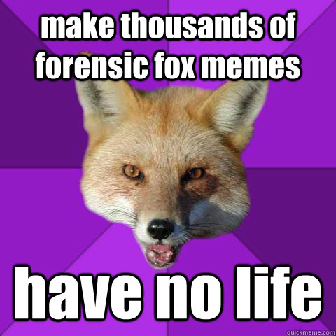 make thousands of forensic fox memes have no life  Forensics Fox