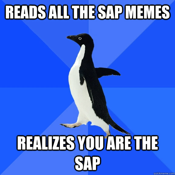 reads all the SAP memes realizes you are the sap  Socially Awkward Penguin