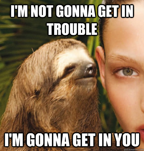 I'm not gonna get in trouble I'm gonna get in you - I'm not gonna get in trouble I'm gonna get in you  Whispering Sloth