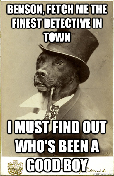 Benson, fetch me the finest detective in town I must find out who's been a good boy - Benson, fetch me the finest detective in town I must find out who's been a good boy  Old Money Dog