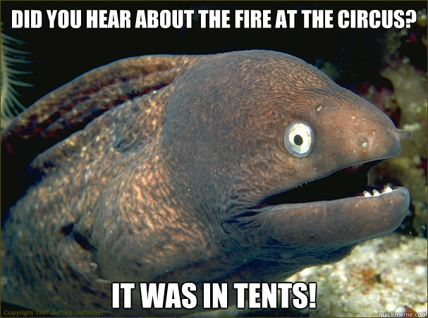 Did you hear about the fire at the circus? It was in tents!  Bad Joke Eel