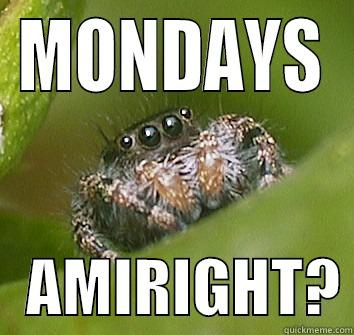 MONDAYS    AMIRIGHT? Misunderstood Spider