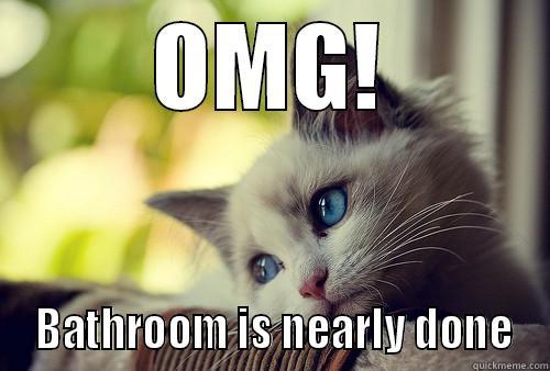 OMG!  BATHROOM IS NEARLY DONE First World Problems Cat