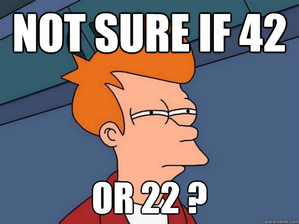 not sure if 42 or 22 ?
  Futurama Fry