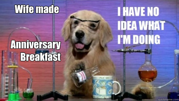 Anniversary 
Breakfast Wife made  science dog