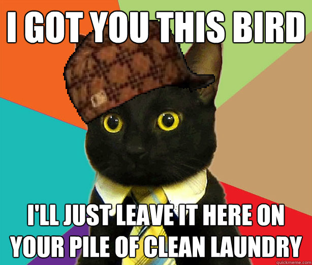 I got you this bird I'll just leave it here on your pile of clean laundry  Scumbag Cat