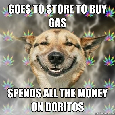 Goes to store to buy gas spends all the money on doritos  Stoner Dog