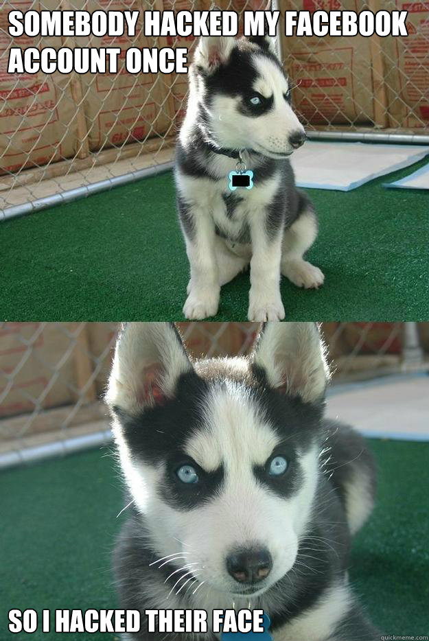 Somebody hacked my Facebook account once so I hacked their face  Insanity puppy