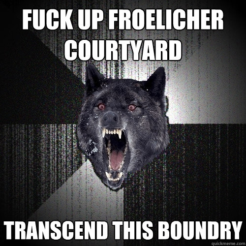 FUCK UP Froelicher COURTYARD TRANSCEND THIS BOUNDRY  Insanity Wolf