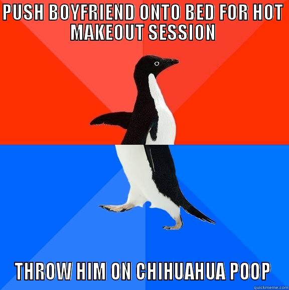 PUSH BOYFRIEND ONTO BED FOR HOT MAKEOUT SESSION THROW HIM ON CHIHUAHUA POOP Socially Awesome Awkward Penguin