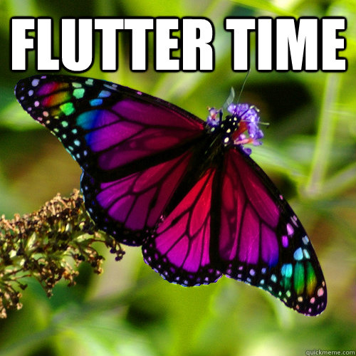flutter time   
