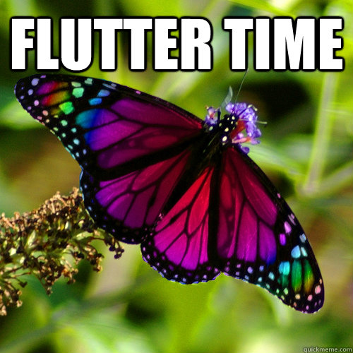 flutter time   gay butterfly
