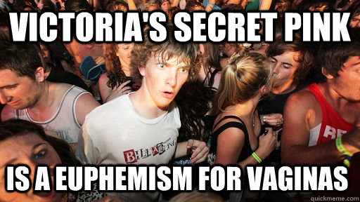 Victoria's Secret Pink Is a euphemism for vaginas  Sudden Clarity Clarence