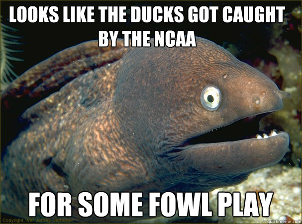 Looks like the ducks got caught by the NCAA  For some fowl play  Bad Joke Eel