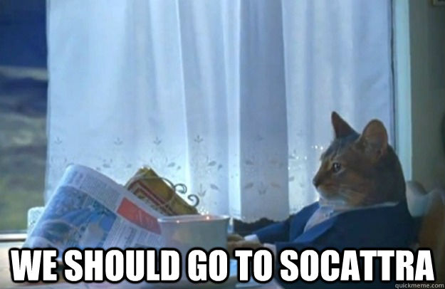  We should go to socattra  Sophisticated Cat