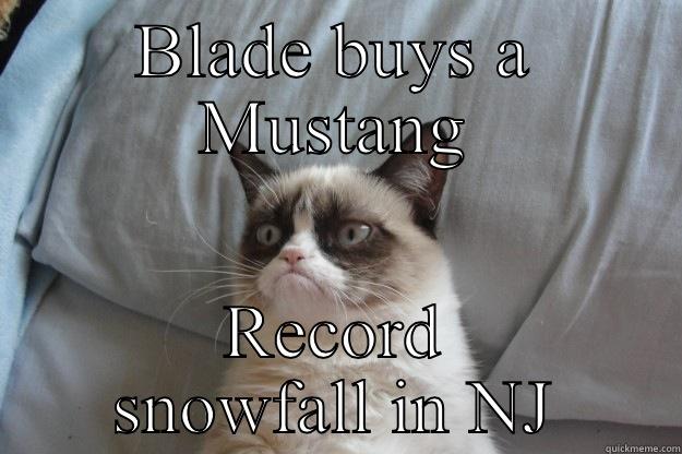 BLADE BUYS A MUSTANG RECORD SNOWFALL IN NJ Grumpy Cat