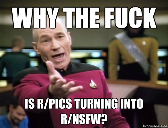 why the fuck is r/pics turning into r/nsfw?  Annoyed Picard HD