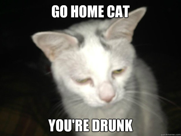 Go Home Cat You're drunk - Go Home Cat You're drunk  drunk cat meme