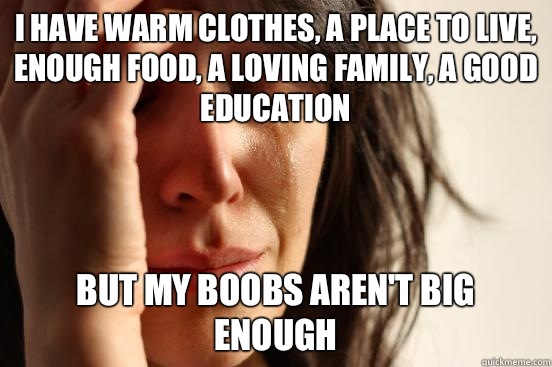I have warm clothes, a place to live, enough food, a loving family, a good education But my boobs aren't big enough  First World Problems